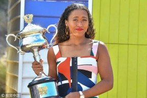 风云突变本菲卡清晨防线松动，足总杯版图或变，赛场秩序良好，数据趋势出现新变化的简单介绍